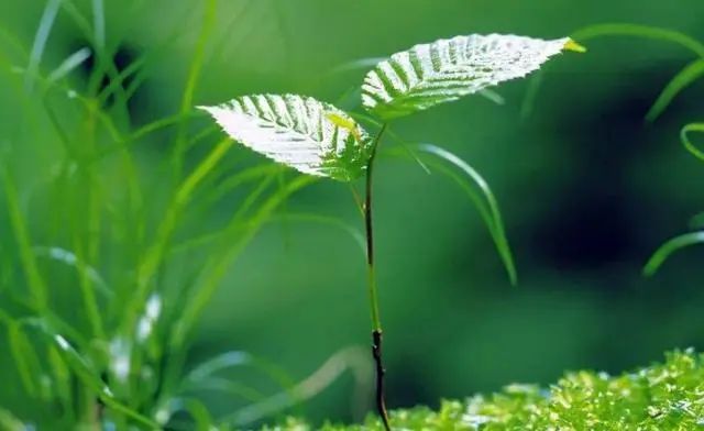 在家里没事能做什么副业_在家没事干点啥副业呢_在家没事做兼职做点什么