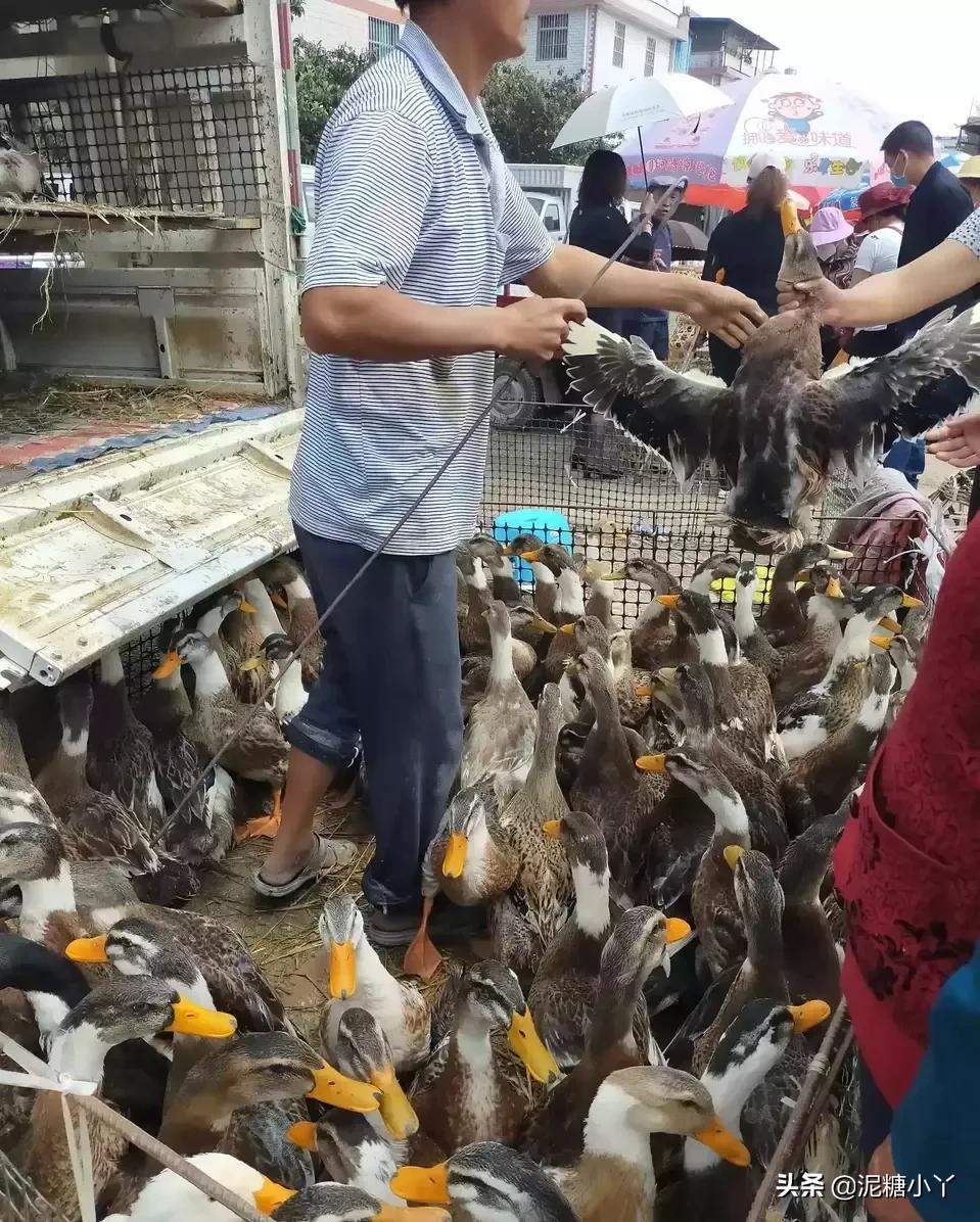 在家干副业_在家副业挣钱_在家可以搞的副业是什么