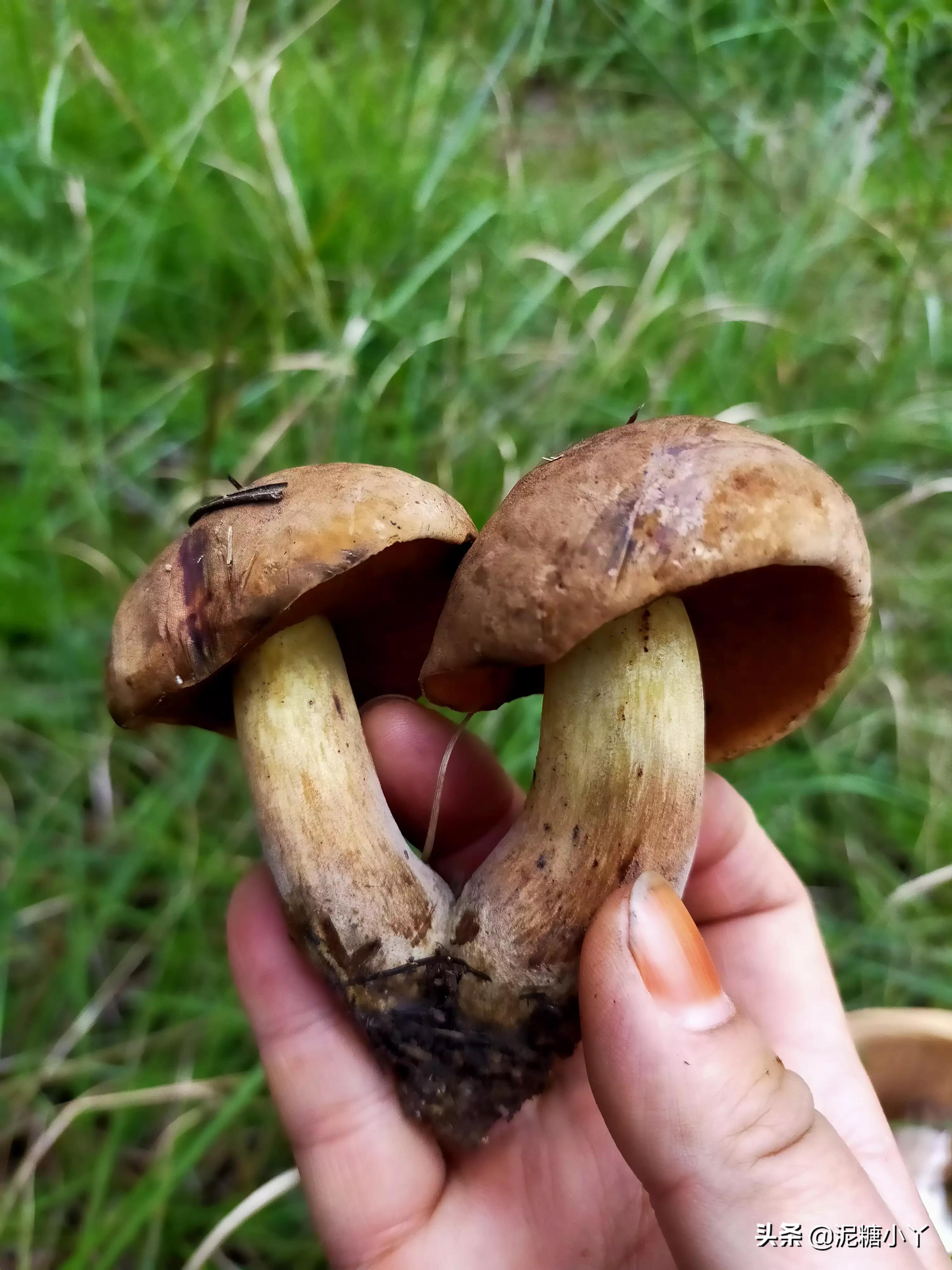 在家副业挣钱_在家干副业_在家可以搞的副业是什么