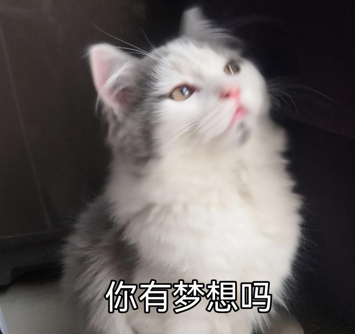 在家怀孕宝妈副业小项目-宝妈也能做的兼职：简单又轻松-优创圈