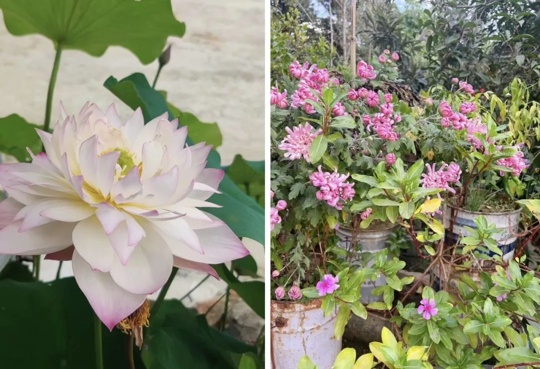 在家副业推荐_过年在家找什么副业比较好_过年回家副业