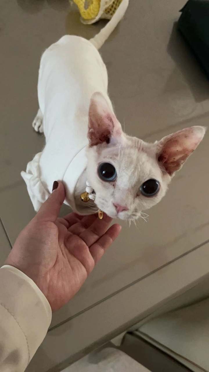在宁波怎么找兼职_宁波在家副业工资多少_宁波在家副业