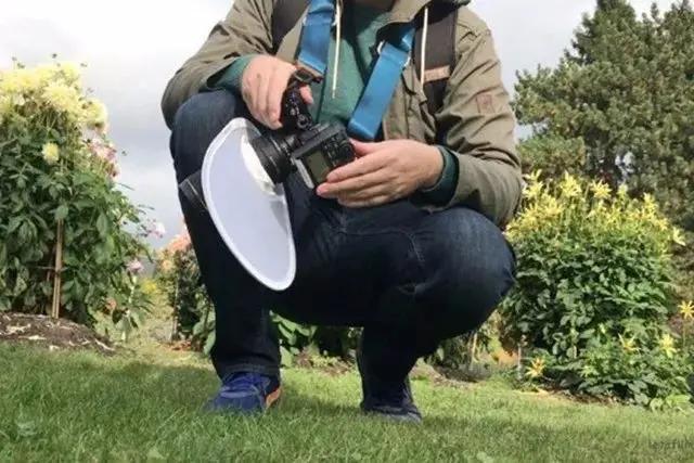 在家干养花副业_在家养副业干花可以吗_在家养副业干花好吗