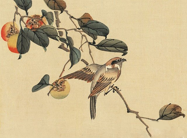 大姐在家搞副业-连载丨父亲和他的亲人们（3）-优创圈