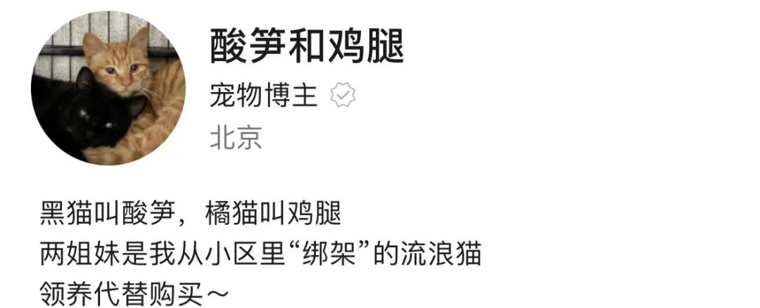 图片[12]-副业在家怎么养猫-被流浪小猫咪“收留”后开启副业成为博主！简直泰裤辣！-优创圈