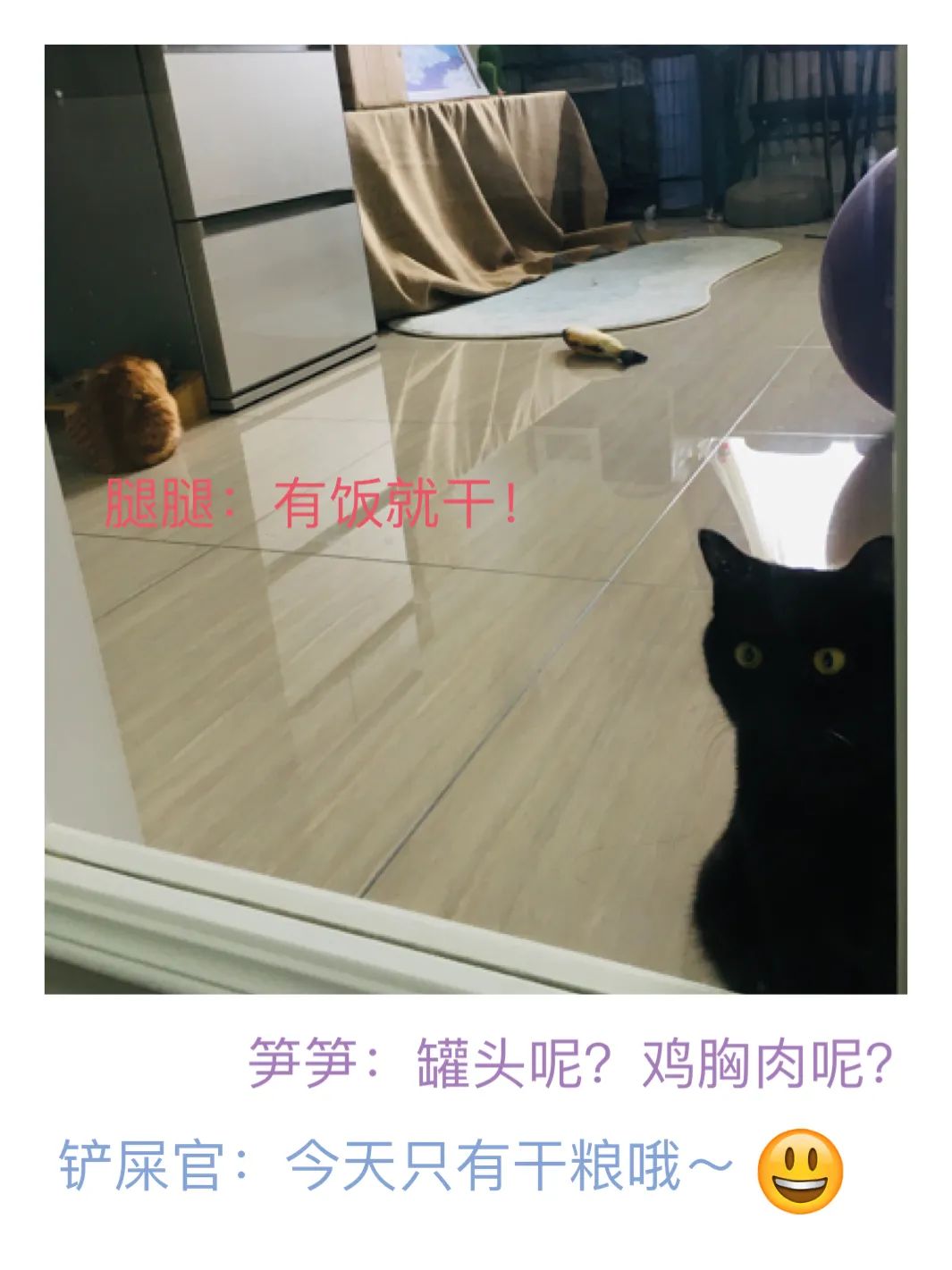 图片[9]-副业在家怎么养猫-被流浪小猫咪“收留”后开启副业成为博主！简直泰裤辣！-优创圈