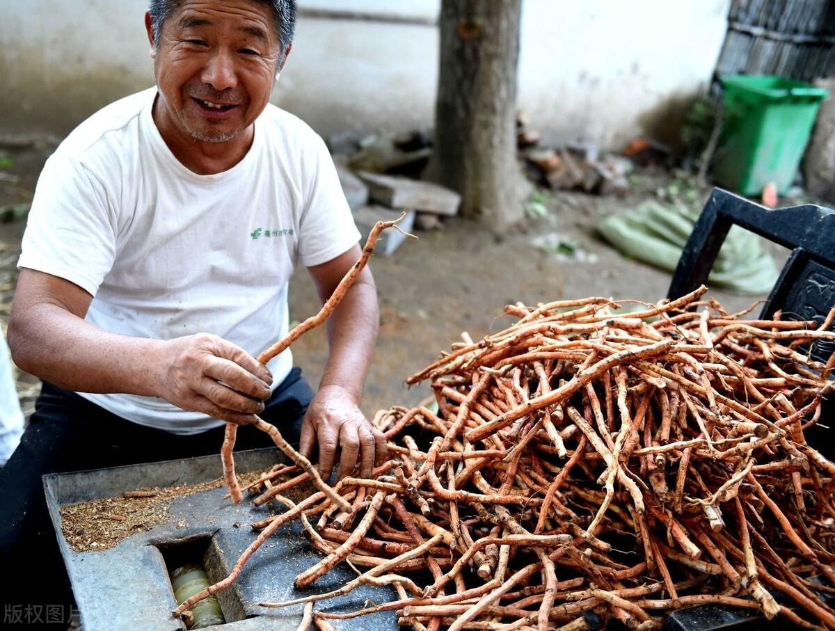 在家小吃副业做什么赚钱_在家小吃副业做什么_在家做副业小吃
