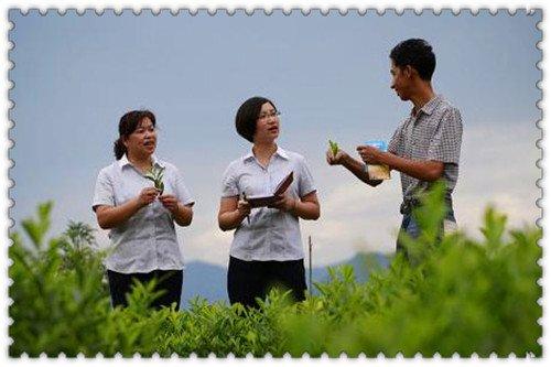农村在家干副业-农村农闲时可以做的副业，推荐三个，做好了赚的比主业还多-优创圈