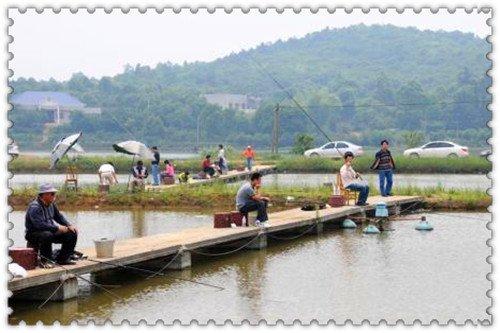 农村上班族副业_农村在家干副业_在家副业农村干活怎么样