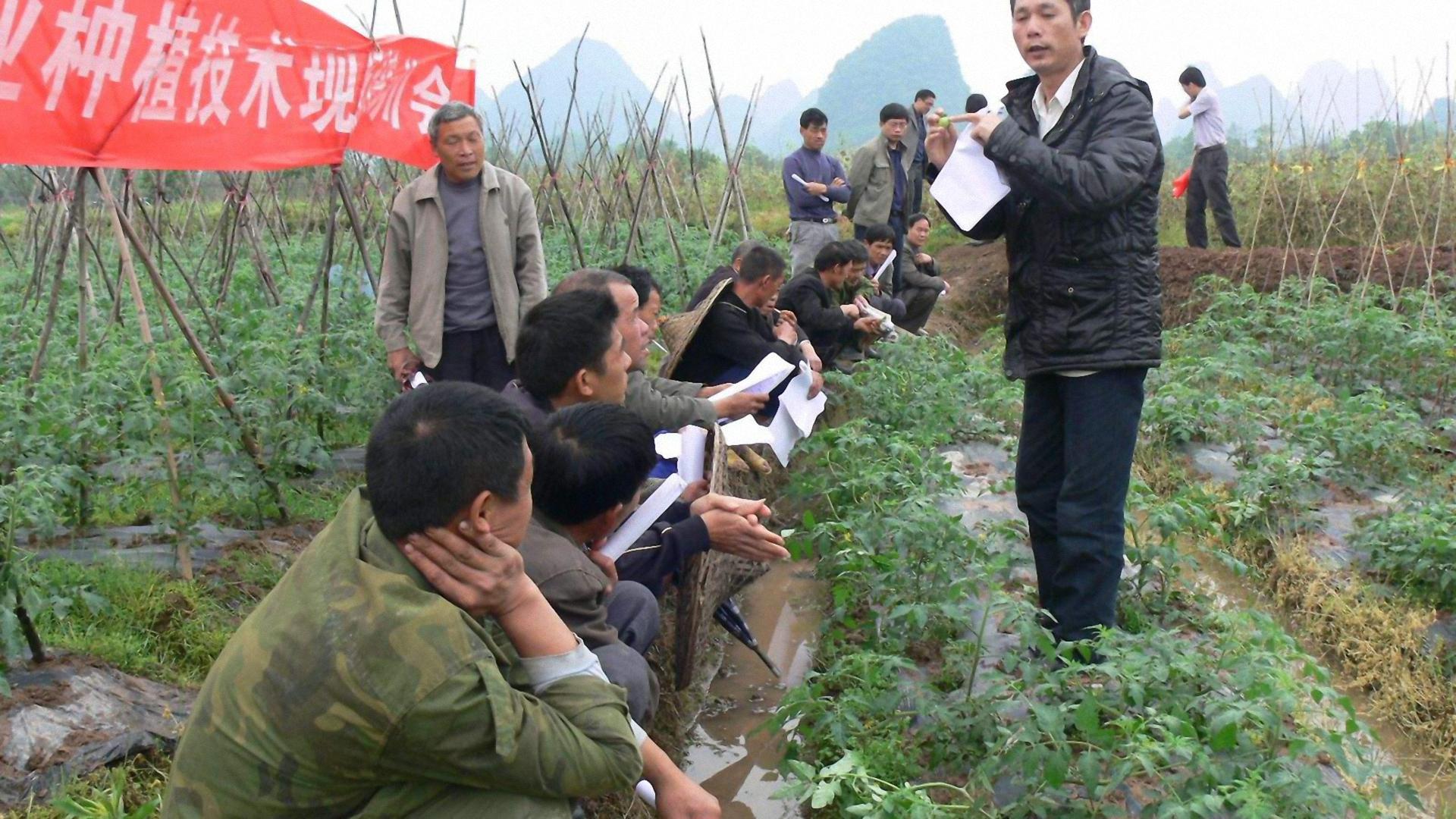 农民在家副业赚钱_农民在家干什么赚钱2016_农村在家干啥赚钱