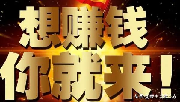 副业在家养殖-农村4大冷门养殖——养小虫，挣大钱！-优创圈