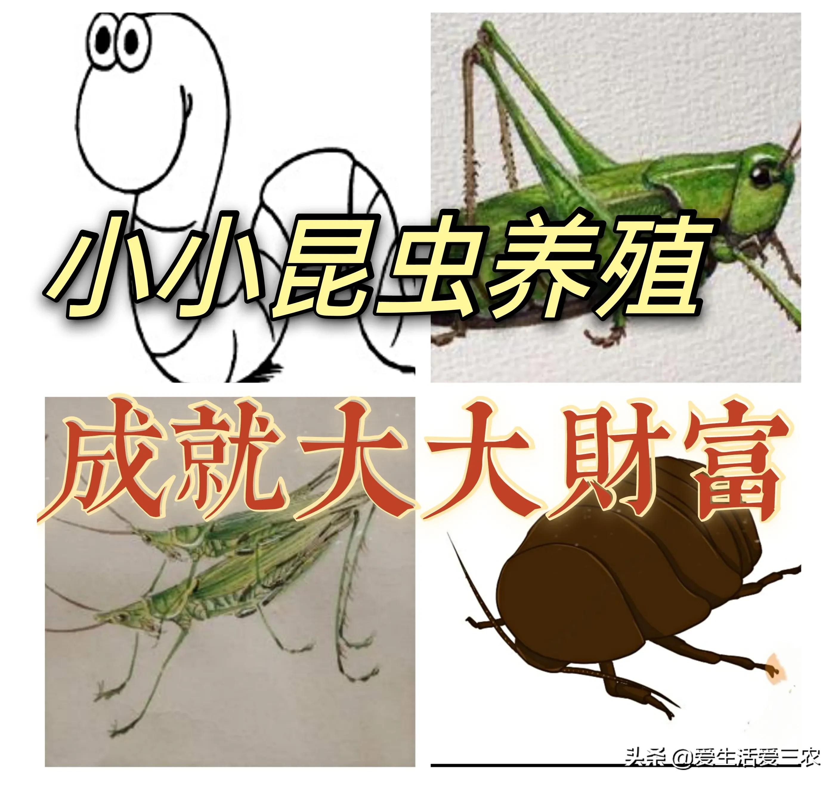 副业在家养殖_养殖在家副业赚钱吗_家里养殖副业