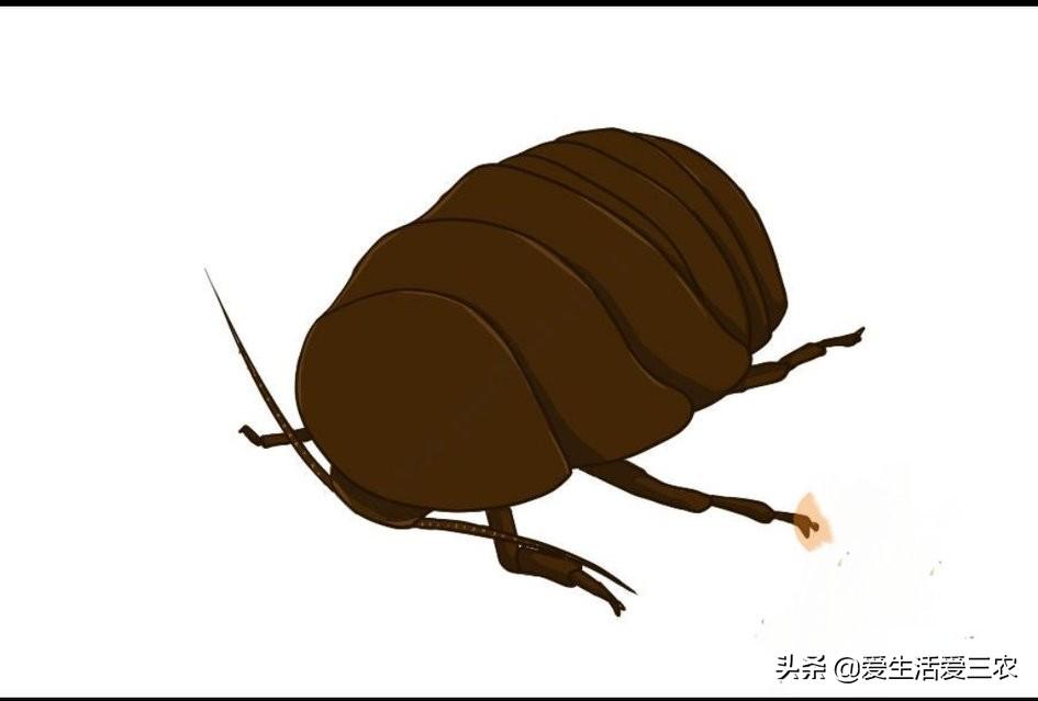 家里养殖副业_副业在家养殖_养殖在家副业赚钱吗