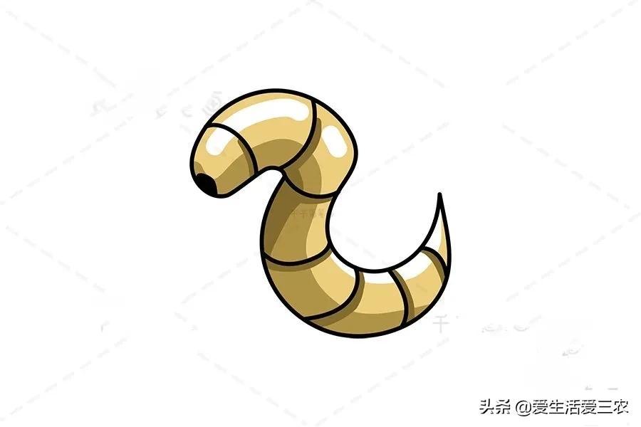 副业在家养殖_家里养殖副业_养殖在家副业赚钱吗