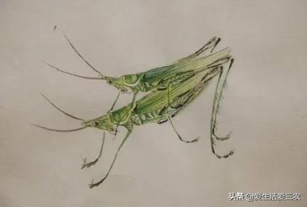 家里养殖副业_养殖在家副业赚钱吗_副业在家养殖