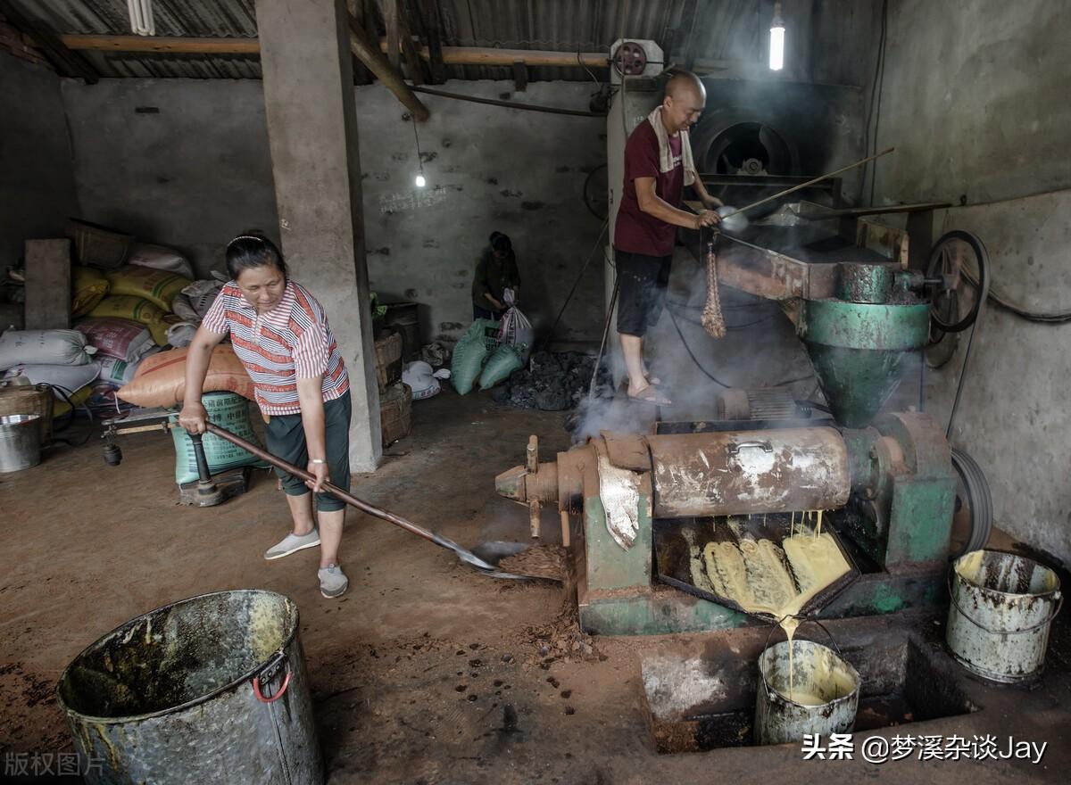 副业在家养殖_养殖在家副业挣钱吗_养殖在家副业赚钱吗