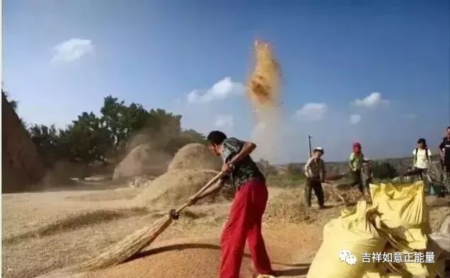农民在家创业做什么好_农民家庭副业_农民在家搞副业