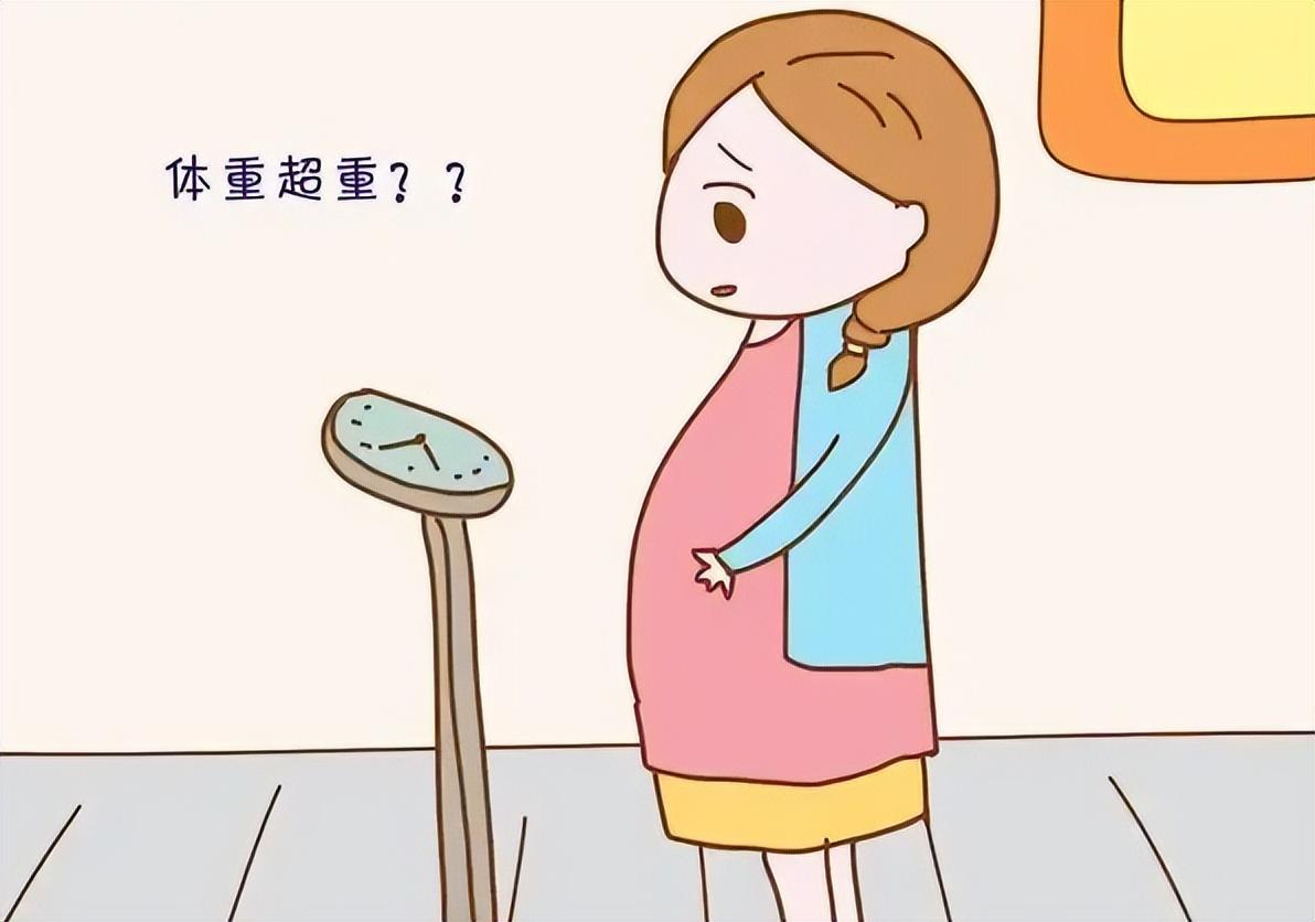 在家备孕适合做点什么兼职_在家备孕副业_在家备孕适合什么工作
