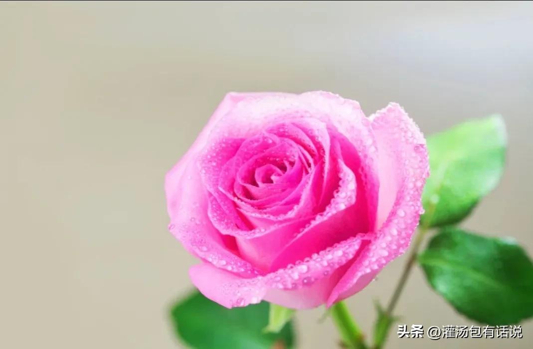 在家做甜点副业_甜点在家副业做什么赚钱_做甜点赚钱吗