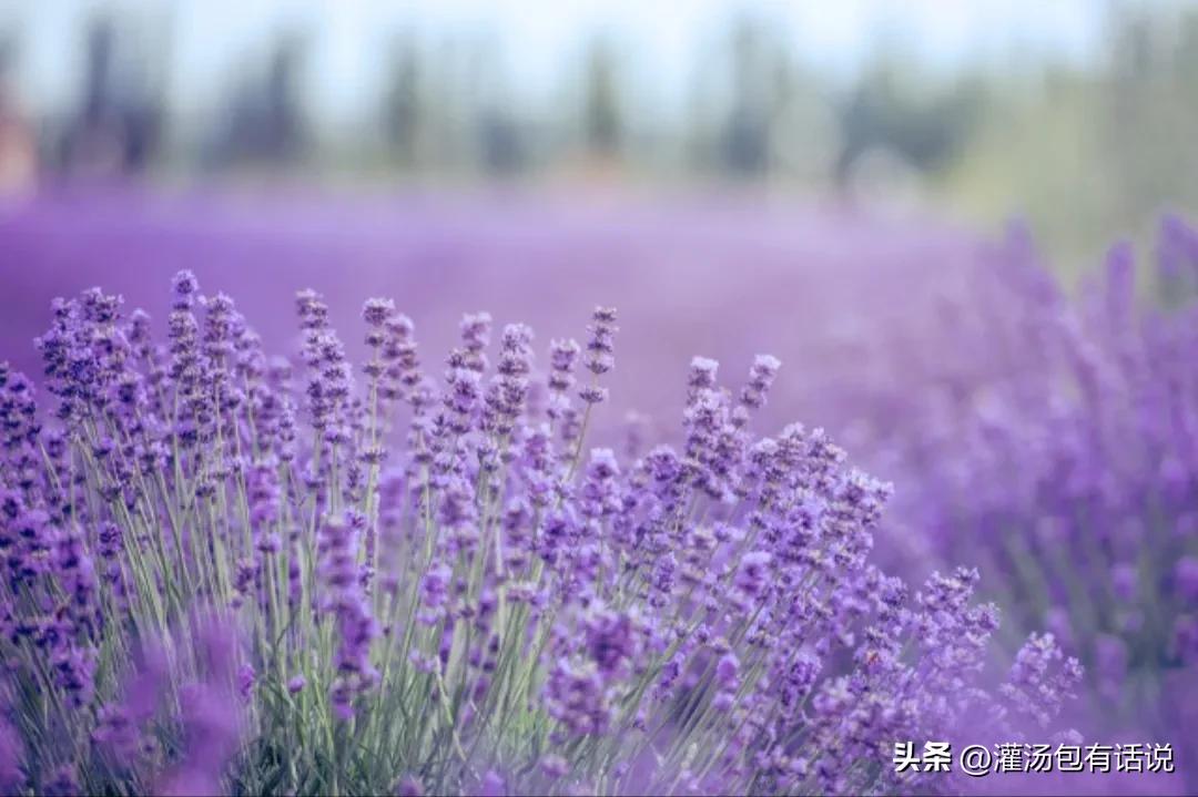 在家做甜点副业_甜点在家副业做什么赚钱_做甜点赚钱吗