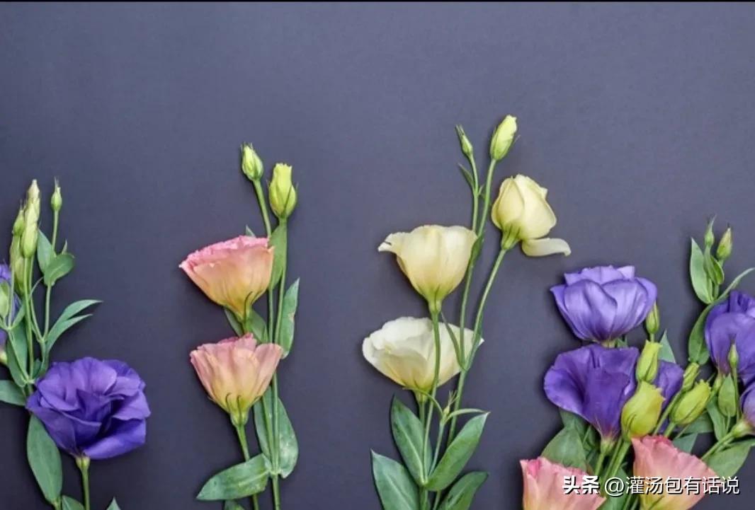 在家做甜点副业_甜点在家副业做什么赚钱_做甜点赚钱吗