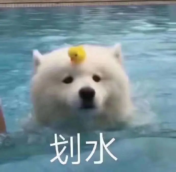 在家摆摊怎么找副业_摆摊在家副业找谁做_摆摊在家副业找什么工作