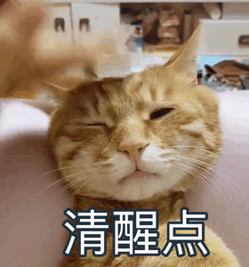 摆摊在家副业找什么工作_摆摊在家副业找谁做_在家摆摊怎么找副业