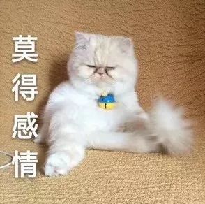 想在家里搞点副业_在家副业_在家里搞副业图片