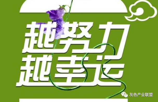 女孩在家的副业赚钱-在家月入10000+的副业赚钱项目-优创圈
