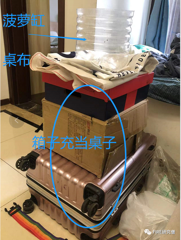 图片[5]-在家摆摊怎么找副业-副业02：手把手教你摆地摊。实测！115元启动资金，摆摊卖菠萝-优创圈