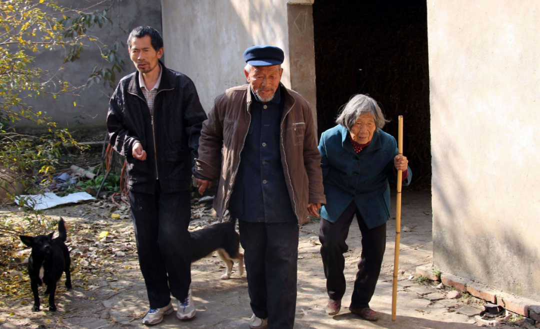 农民在家做什么副业_在家农民副业做什么_在家农民副业做什么赚钱