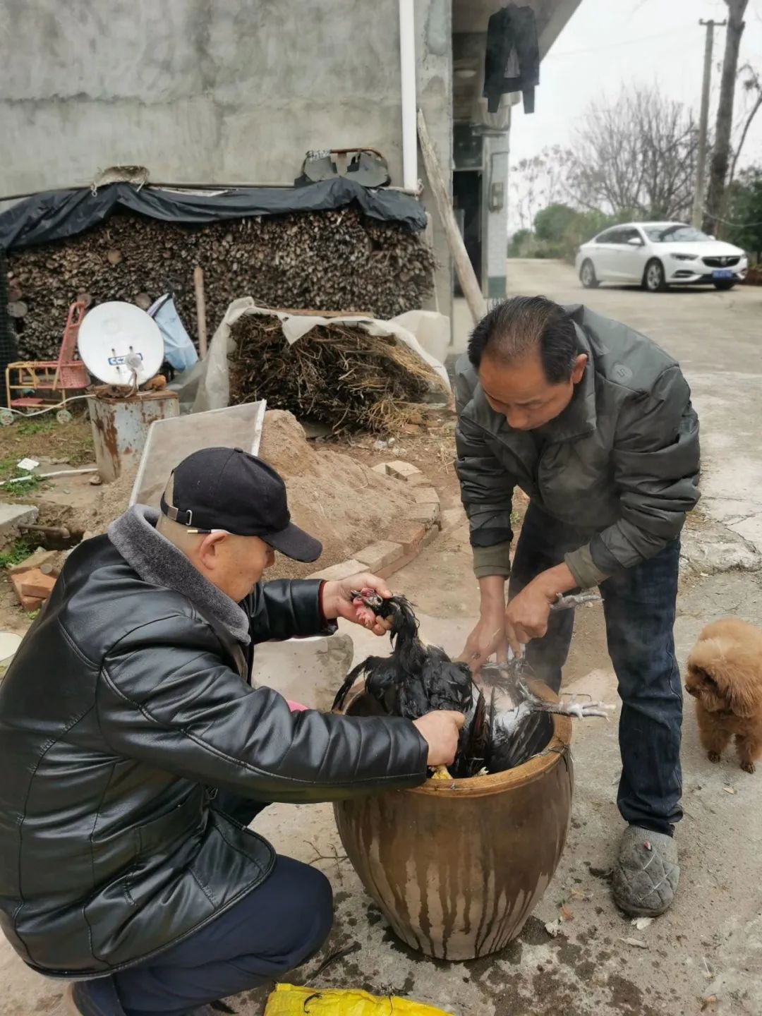 在家农民副业做什么_在家农民副业做什么赚钱_农民在家做什么副业