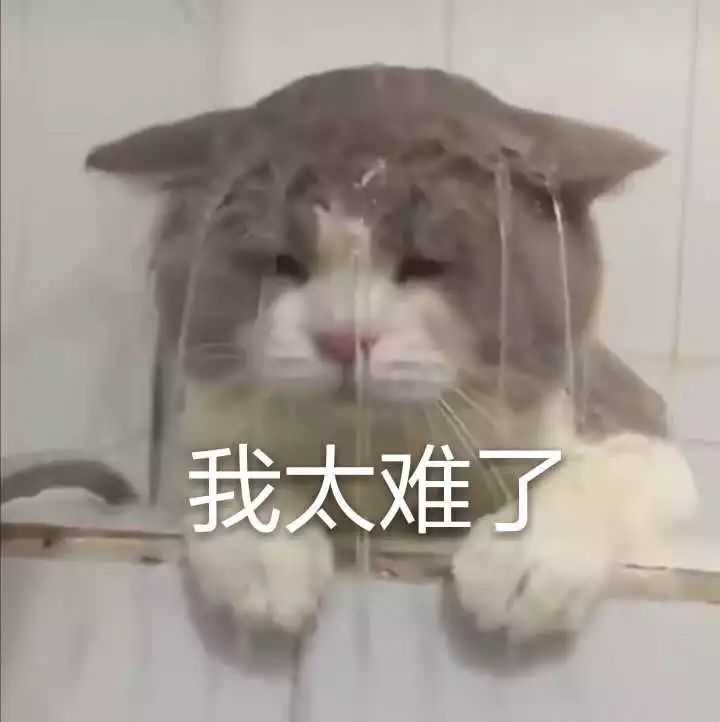 疫情在家的副业_疫情在家的老师副业_在家疫情副业老师怎么办