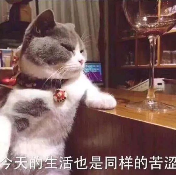晚上在家挣钱的副业_有什么副业可以在家做的_裁员在家怎么开展副业