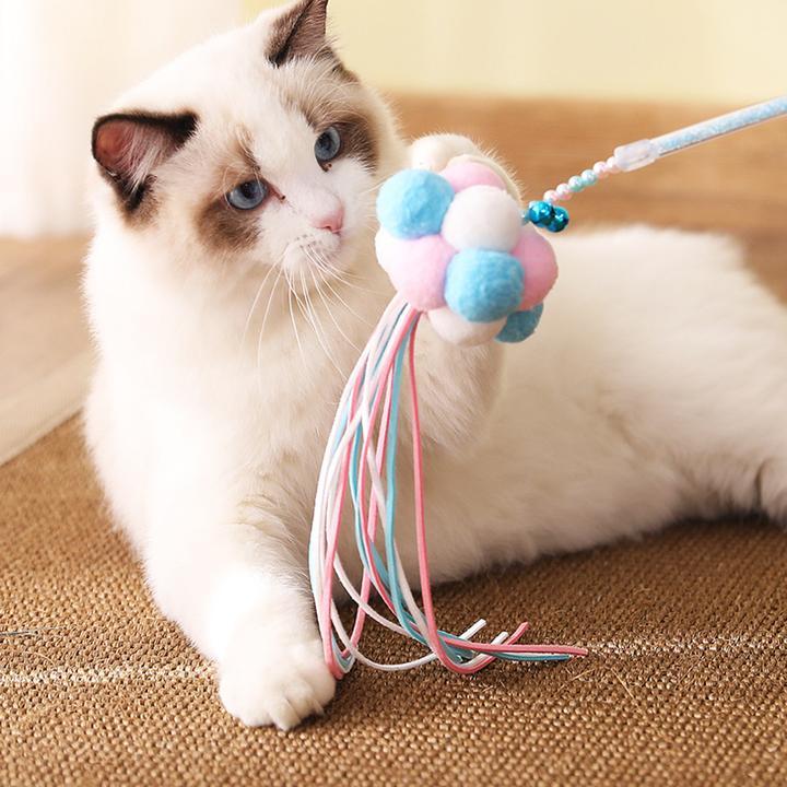 在家养猫创业_怎么在家养猫副业_家庭养猫赚钱吗