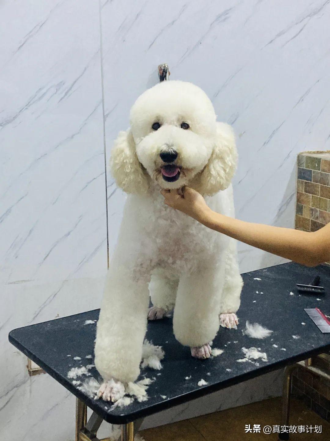 在家事副业没好做的说说_在家没事做个副业好吗_搞副业在家收入不好吗