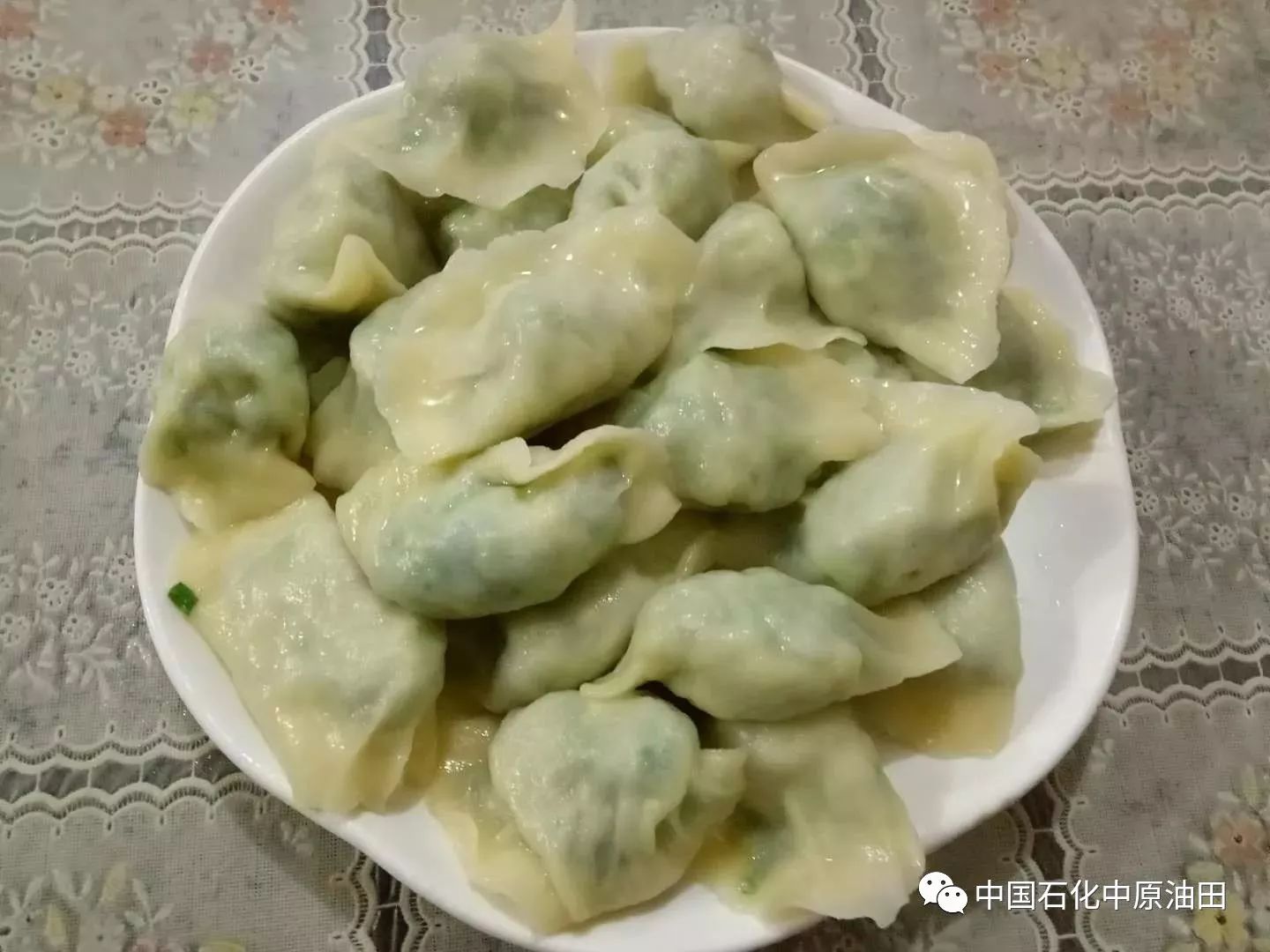 图片[8]-在家包饺子做副业-濮阳这些小店的饺子太好吃了！你去吃过吗？-优创圈