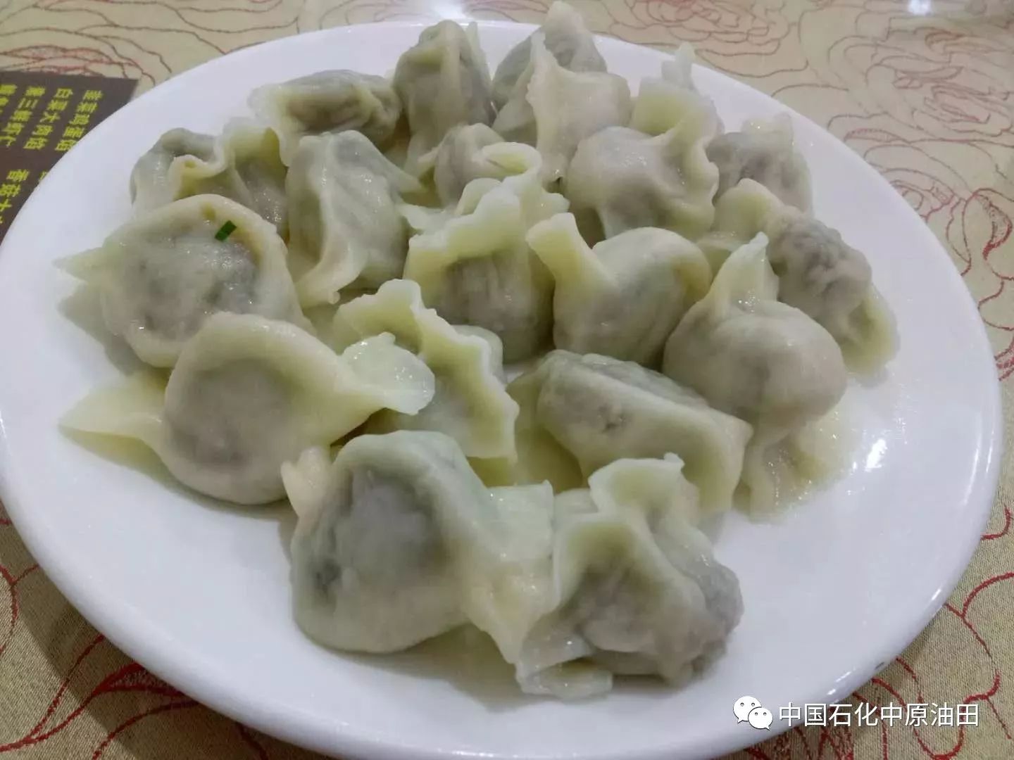 图片[16]-在家包饺子做副业-濮阳这些小店的饺子太好吃了！你去吃过吗？-优创圈
