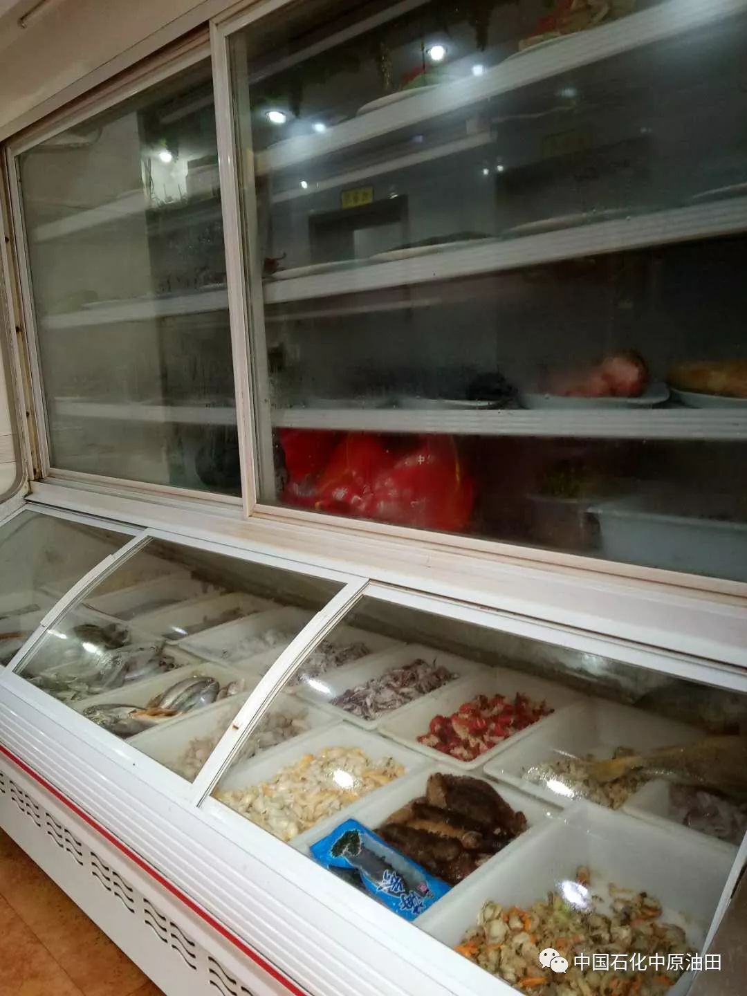 图片[39]-在家包饺子做副业-濮阳这些小店的饺子太好吃了！你去吃过吗？-优创圈