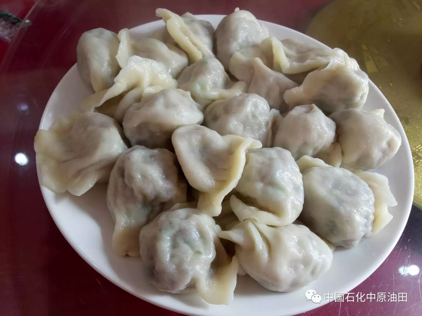 图片[41]-在家包饺子做副业-濮阳这些小店的饺子太好吃了！你去吃过吗？-优创圈