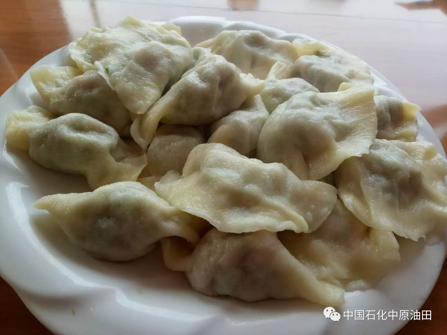 图片[45]-在家包饺子做副业-濮阳这些小店的饺子太好吃了！你去吃过吗？-优创圈