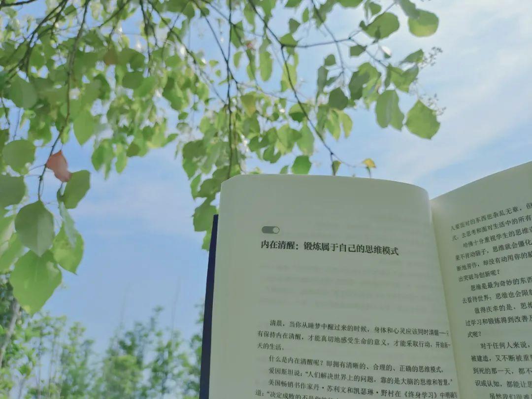 图片[2]-手机怎么在家做副业-下班后别沉迷手机，给副业腾点时间，这是在给自己留后路-优创圈