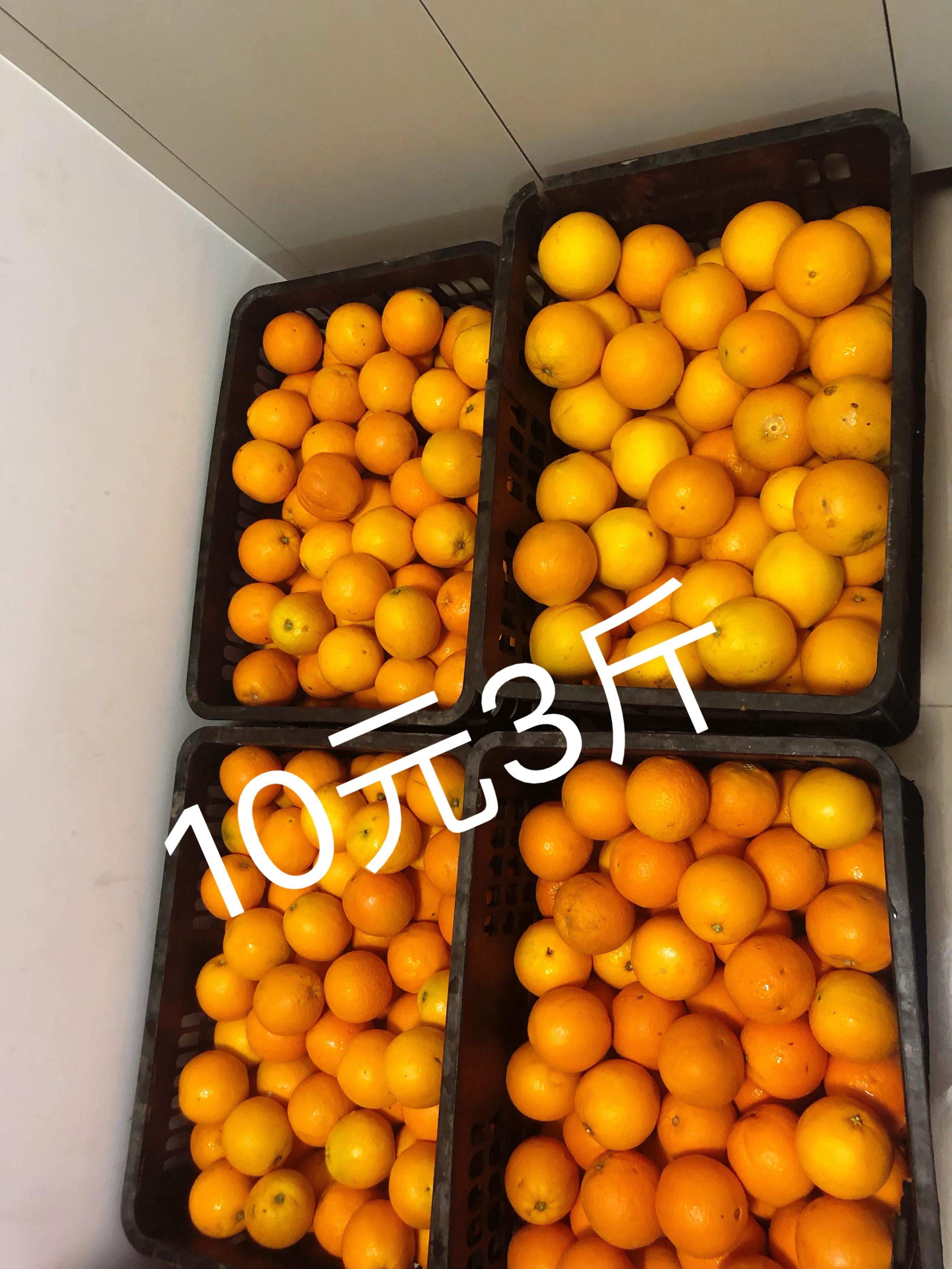在家做副业切水果-下班后的黄金3小时，我在深圳做副业卖水果-优创圈