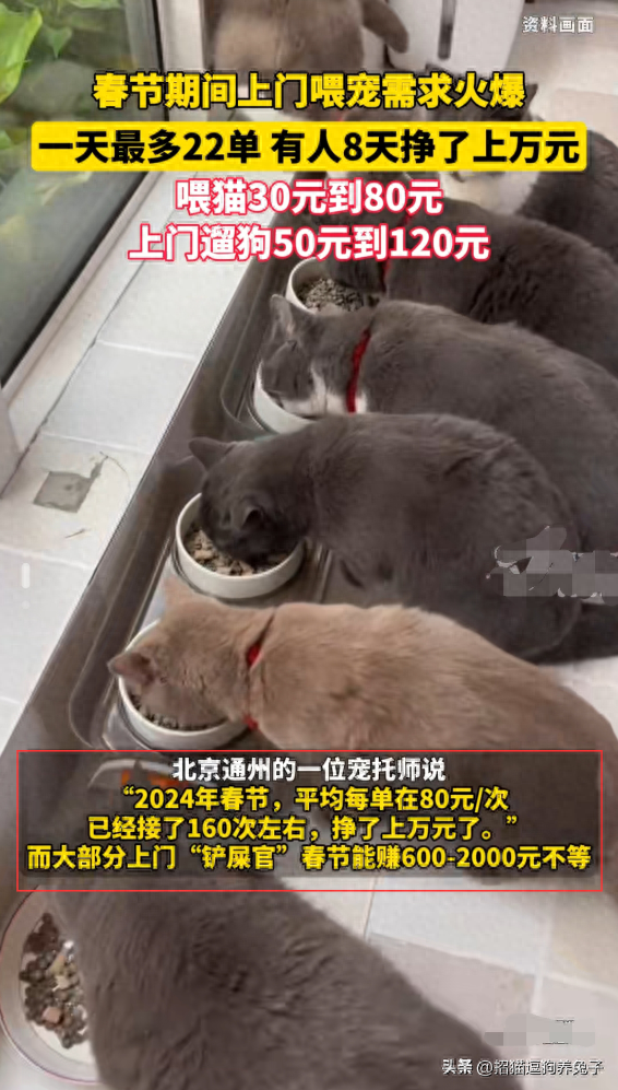 宠物兼职副业在家做-春节上门喂宠物8天挣上万，单子多到接不过来，网友：在哪接单-优创圈