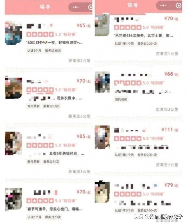 宠物兼职副业在家做_兼职宠物在家副业做什么好_兼职宠物在家副业做怎么样