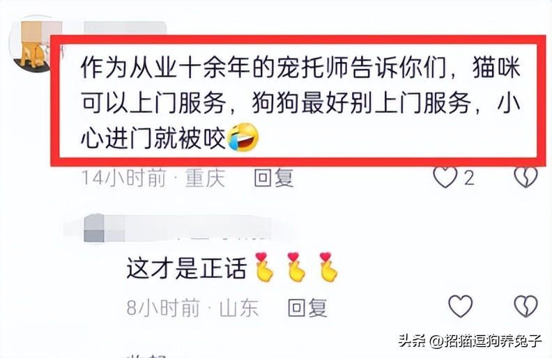 兼职宠物在家副业做什么好_宠物兼职副业在家做_兼职宠物在家副业做怎么样