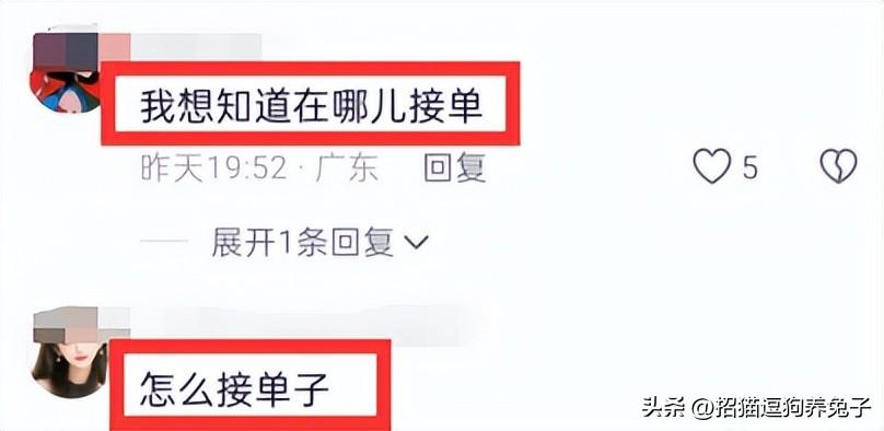 兼职宠物在家副业做怎么样_宠物兼职副业在家做_兼职宠物在家副业做什么好