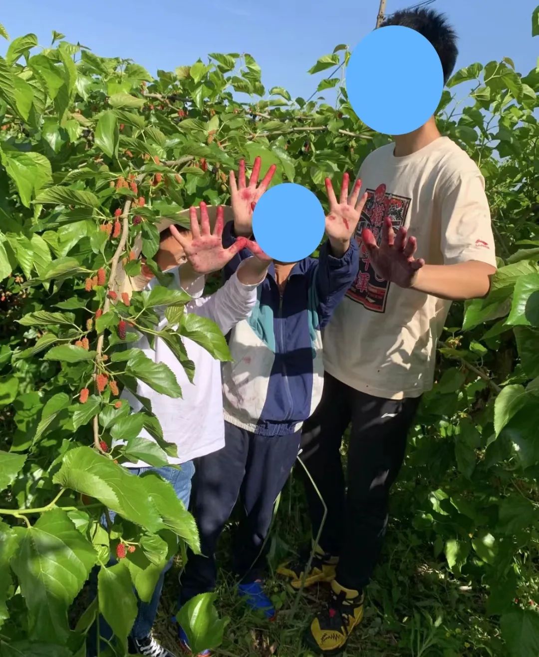 抑郁症在家做副业_症抑郁在家副业做什么好_抑郁症在家干点啥