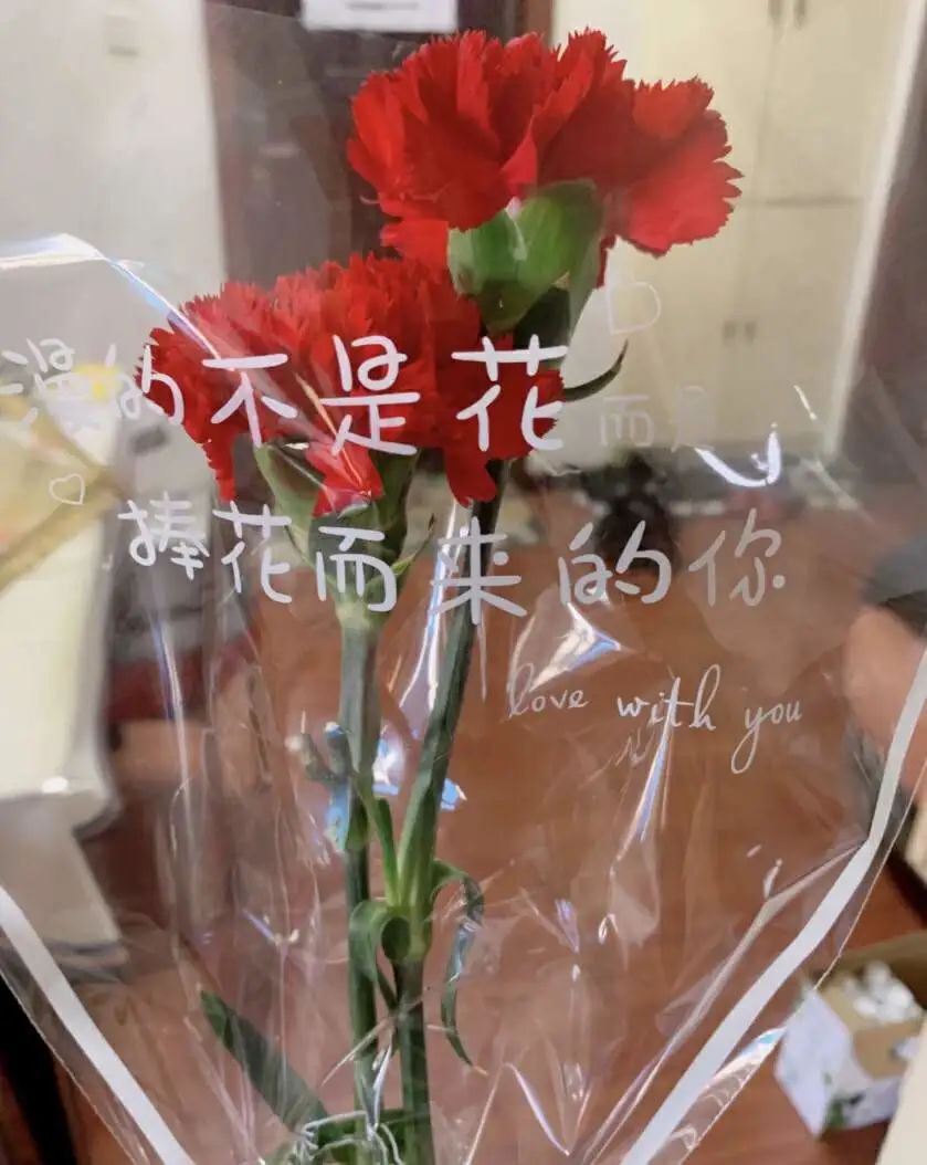 抑郁症在家干点啥_症抑郁在家副业做什么好_抑郁症在家做副业