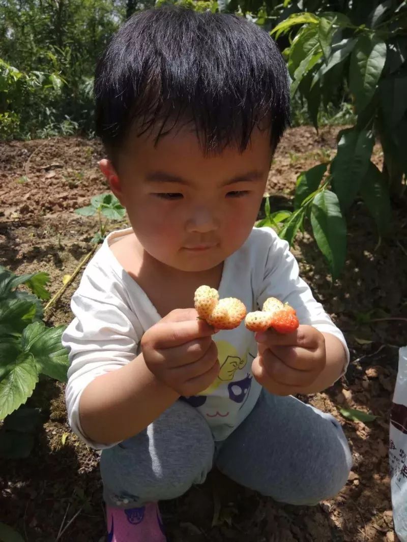 在家带小孩怎么找副业_在家带孩的兼职_带孩子做的兼职